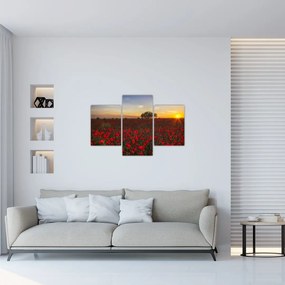 Tablou cu lunca și macii (90x60 cm)