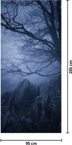 Fototapet pentru ușă - Pădurea întunecată (95x205cm)