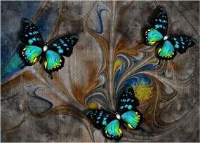 Tablou pe sticlă - Fluturi strălucitori în imagine (70x50 cm)