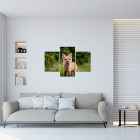 Tablou cu vulpe (90x60 cm)
