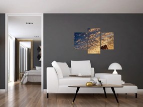 Tablou - Palmieri între nori (90x60 cm)