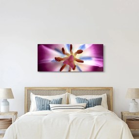 Tablou - Laleaua detailat (120x50 cm)