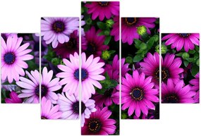 Tablou - Flori (150x105 cm)