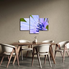 Tablou - Floare (90x60 cm)