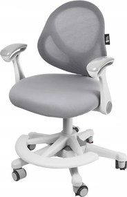 FlexGrow Junior YB1059 - Scaun Ergonomic pentru Copii, spatar reglabil, cotiere reglabile, inaltime reglabila, suport picioare ajustabil, Mesh, Gri