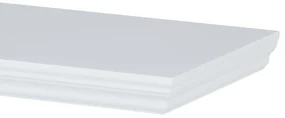 Raft P-024, alb