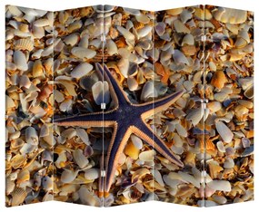 Paravan - Stea de mare (210x170 cm)