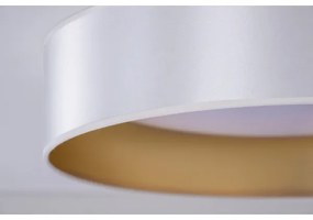 Plafonieră LED Duolla ROLLER LED/24W/230V d. 45 cm argintiu/auriu