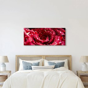 Tablou cu floarea trandafirului roșu (120x50 cm)