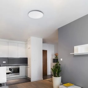 Rabalux 3428 - Plafonieră LED dimerizabilă PAVEL LED/22W/230V