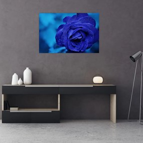 Tablou cu trandafir albastru (90x60 cm)