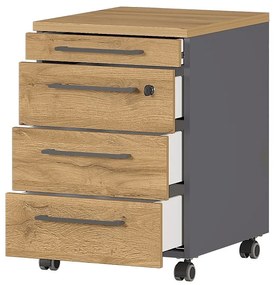 Dulap gri antracit cu aspect de lemn de stejar 42x61 cm Agenda – Germania