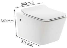 Toaletă fără ramă, montată pe perete, Tina