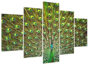 Tablou - Peacock (150x105 cm)