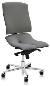 Scaun medical Steel Standard, gri