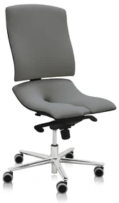 Scaun medical Steel Standard, gri