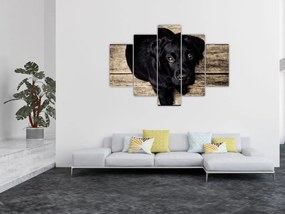 Tablou cu cățeluș negru (150x105 cm)