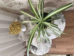 Set masuta de cafea,Seria 440Homs, 3 buc,20039