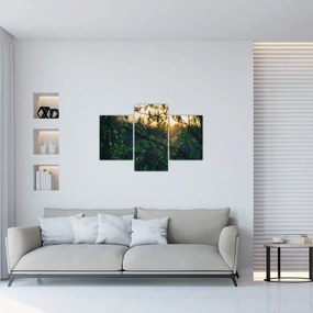 Tablou - Soarele strălucind printre crengile copacilor (90x60 cm)