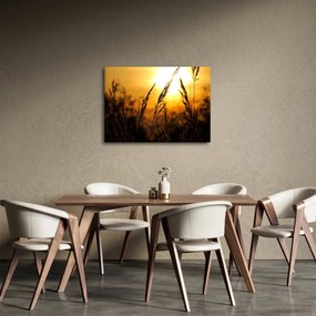 Tablou - Apus de soare (70x50 cm)