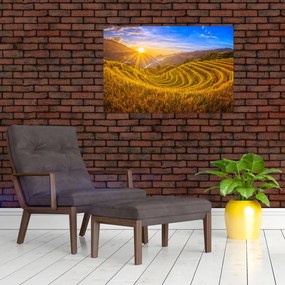 Tablou - Terasele de orez din Vietnam (90x60 cm)