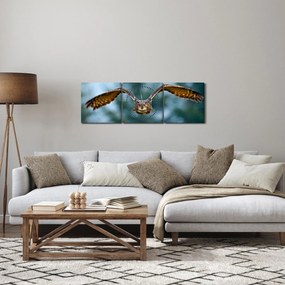 Tablou -Bufnita în zbor (cu ceas) (90x30 cm)
