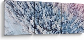 Tablou cu copaci înzăpeziți (cu ceas) (90x30 cm)