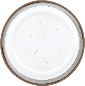Plafonieră LED Aigostar LED/12W/230V 3000K d. 26,3 cm