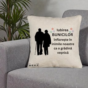 Cadou pentru Bunici - Perna Personalizata Bunicii Iubirea Infloreste Silueta Neagra Flori, 40x40 cm, Bej Canapea, Husa Detasabila, Perna Inclusa, BEKZ®
