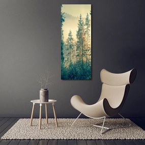Print pe canvas Ceață peste pădure