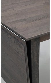 Masă de dining extensibilă din lemn masiv de stejar 120x80 cm Filippa - Rowico