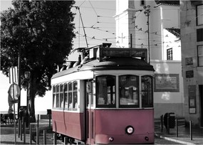 Tablou pe sticlă - Tramvaiul (70x50 cm)