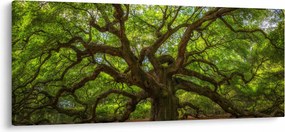 Tablou - Copac verde (120x50 cm)