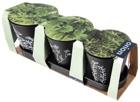 Ghivece 3 buc. din metal pentru ierburi aromatice ø 11 cm Black – Orion