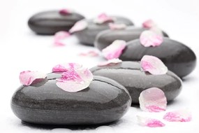 Fototapet pietre wellness cu petalei