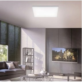 Panou LED dimabil FRAMELESS LED/35W/230V + telecomandă Paul Neuhaus 8492-16