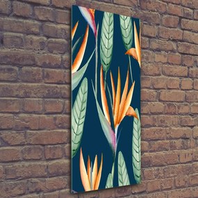 Tablou pe acril Strelitzia reginae