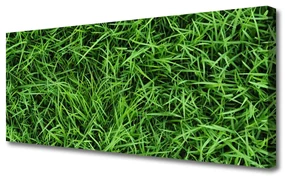 Tablou pe panza canvas Iarbă Lawn Floral Verde