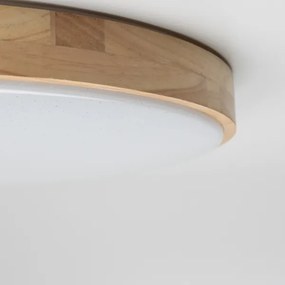 Brilagi - Plafonier LED reglabil PINE LED/24W/230V + telecomandă