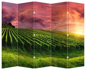 Paravan - Vie cu cerul color (210x170 cm)