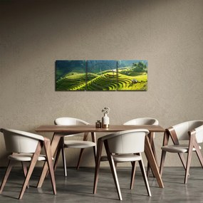 Tablou - Concert Terase de orez (cu ceas) (90x30 cm)