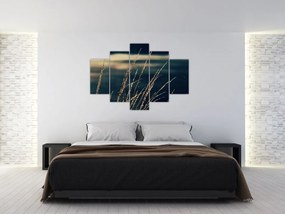 Tablou cu ierburi (150x105 cm)