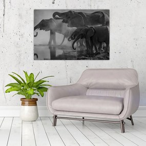 Tablou cu elefanți - albnegru (90x60 cm)