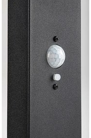 Rabalux 77079 - Lampă solară LED exterior LASSET 4,4W 3,7V IP54 antracit