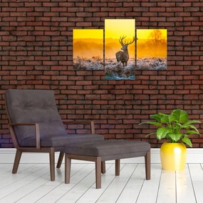 Tablou - Cerb la răsăritul soarelui (90x60 cm)