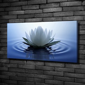 Tablou canvas Nufăr