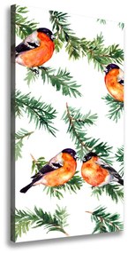Print pe canvas Robin și conifere