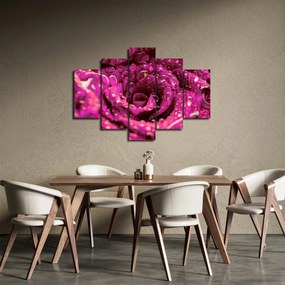 Tabloul cu floarea trandafirului roz (150x105 cm)