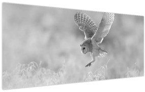 Tablou - Bufniță,alb-negru (120x50 cm)
