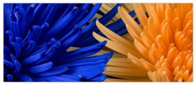 Tablou detailat cu flori (120x50 cm)